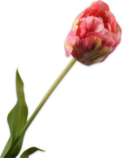 Silk-ka Kunstbloem-Zijden Bloemen Tulp Steel Roze-Geel 66 cm