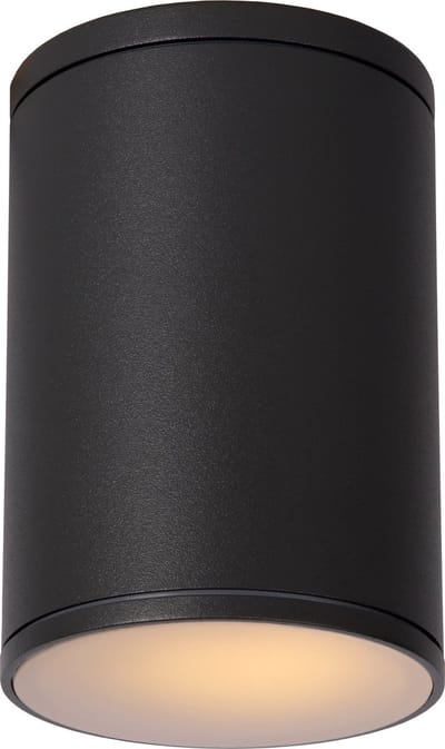 Lucide TUBIX - Plafondspot (Plafondlamp) Binnen/Buiten - Ø 10,8 cm - 1xE27 - IP54 - Antraciet