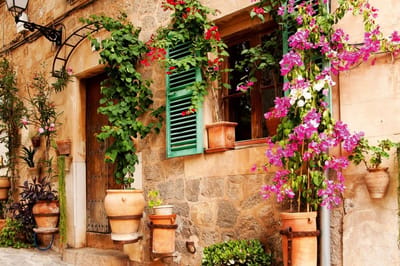 Fotobehang - Street Garden 375x250cm - Vliesbehang