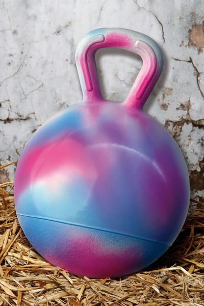 Harry's Horse - Speelbal - Multikleur - 25 cm - Geschikt voor Paard en hond