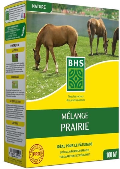 Gazon - BHS - Meadow Mix 1kg | 40m² | Voor grote oppervlakken en weilanden | Snel te installeren, duurzaam, onderhoudsvrij.