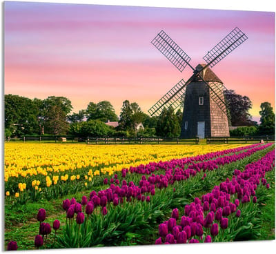 TMK ArtDeko - Glazen Keukenpaneel - 65x60 cm - Meerdere Toepassingen - Antibacterieel