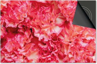 Inductie beschermer 60x60 - afdekplaat inductie mat - Dietrix Kookplaat beschermer - Exclusief - Flowers 12 - Pioen fuchsia
