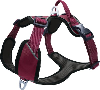 Petlando Hondenharnas Outdoor Aubergine&Zwart - Hondentuig - Xs 38-46 Cm