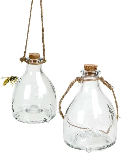 Hoornaar Val - Hoornaarval Aziatische - Glazen Wasp Trap - Duurzaam Glas - Effectieve Insectenbestrijding - Herbruikbaar - Voor Buiten
