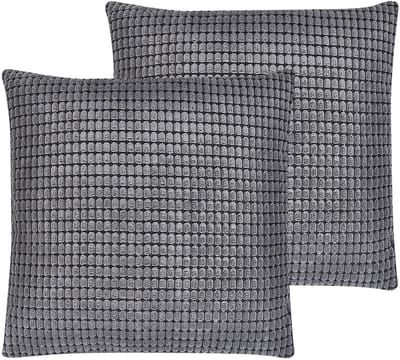 ASPIDISTRA - Sierkussen set van 2 - Grijs - 45 x 45 cm - Fluweel