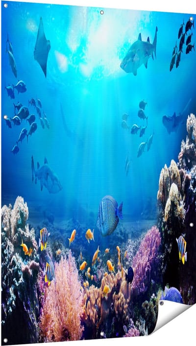 Gards Tuinposter Vissen met Haaien in de Oceaan met Koraalrif - 100x150 cm - Tuindoek - Tuindecoratie - Wanddecoratie buiten - Tuinschilderij