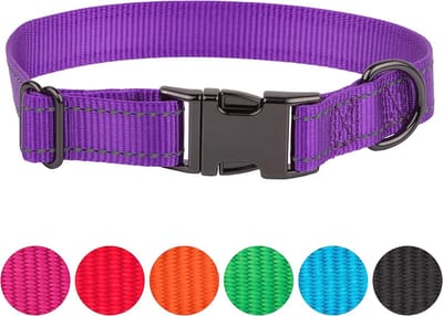 Reflecterende Nylon Hondenhalsband - Verstelbaar en Veilig voor Elke Hond