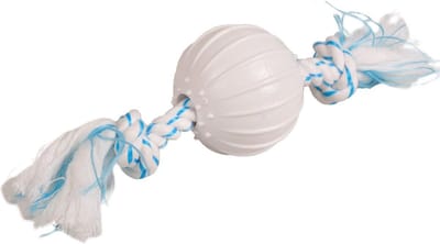Hondenspeelgoed Dental Toy Bal - Blauw - 24 x 6.5 x 6.5 cm