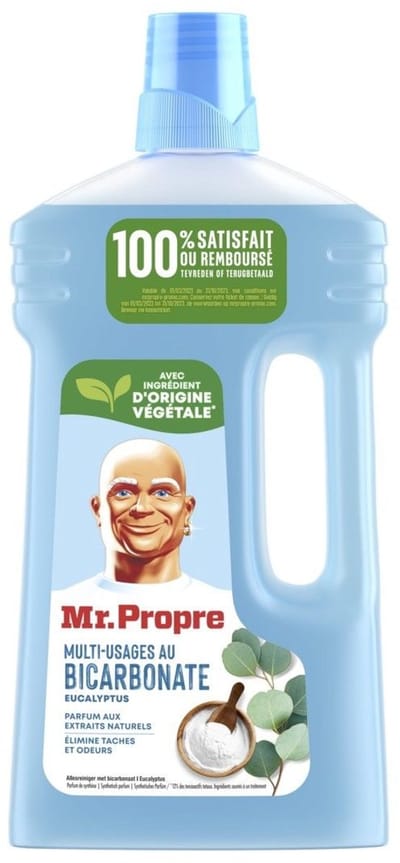 Mr. Proper Allesreiniger Bicarbonaat En Eucalyptus (1000 ml)
