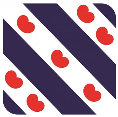 Bierviltjes Friesland - 15x stuks - vierkant - Holland - 9x9 cm - Nederland