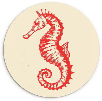 WallCircle® Wandcirkel 120x120 cm - Muurcirkel Zeepaardje - Rood - Fijne details - Muurdecoratie woonkamer - Wanddecoratie slaapkamer - Kamer decoratie accessoires - Ronde schilderijen XXL