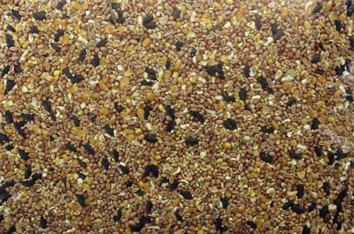 Vogelvoer - Zaden mix - 700gram