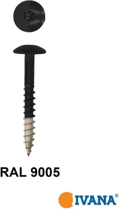 Ivana Gevelschroef t.b.v. Trespa RAL9005 Gitzwart TX-20 4.8x38 - 100St
