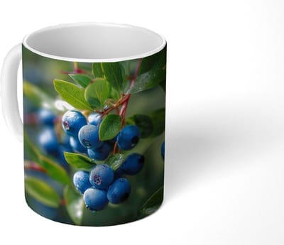 Mok - Koffiemok - Blauwe bessen - Dauwdruppels - Natuurlijk licht - Mokken - 350 ML - Beker - Koffiemokken - Theemok