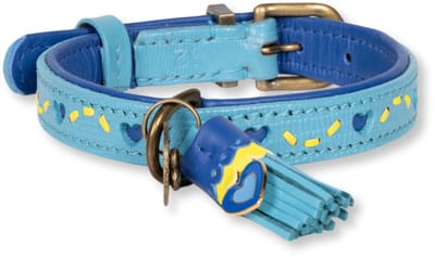Sky Hondenhalsband S (Halsomvang 30-33 cm / 2,5 cm)