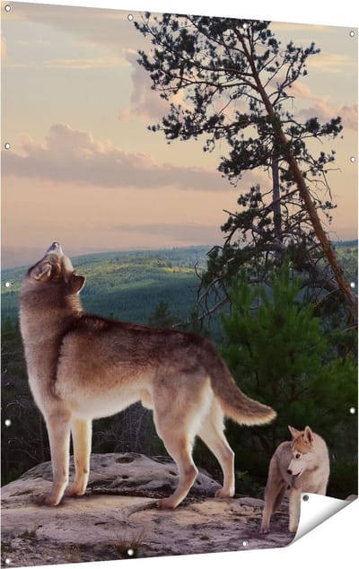 Gards Tuinposter Drie Wolven op een Rots in het Bos - 120x160 cm - Tuindoek - Tuindecoratie - Wanddecoratie buiten - Tuinschilderij