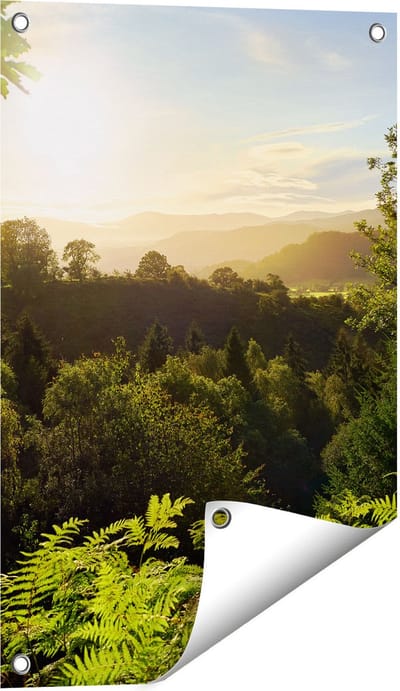 Gards Tuinposter Zonsondergang vanuit een Bos - 40x60 cm - Tuindoek - Tuindecoratie - Wanddecoratie buiten - Tuinschilderij