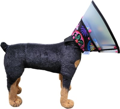 Muilkorf, Muilkorven , hondenkap, hond Muilkorf, hond halsband, hond, hond brace, honden kap, Muilkorven maat S, kat kraag, hond beschermkraag, hondenkraag, hondenkap, kat kap, cone, poezen kap, kat muilkorf, hond operatie kap, hond, kat.