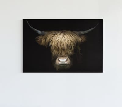 Canvas Schilderij - Hoogland Koe - Wanddecoratie - 60x40x2 cm