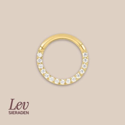 Lev Sieraden - Titanium click ring piercing 1.2x6mm - Zirkonia vooraan - Goud - Piercing - neuspiercing - tragus piercing - Oorpiercing - Segment ring tepel navel