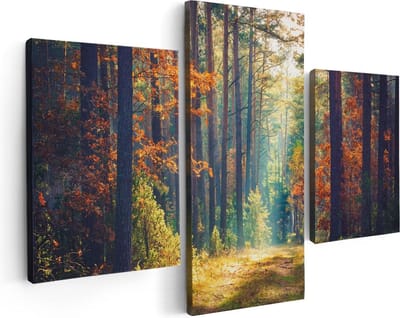 Artaza Canvas Schilderij Drieluik Herfstbos Met Zonneschijn - Kleur - 90x60 - Foto Op Canvas - Canvas Print