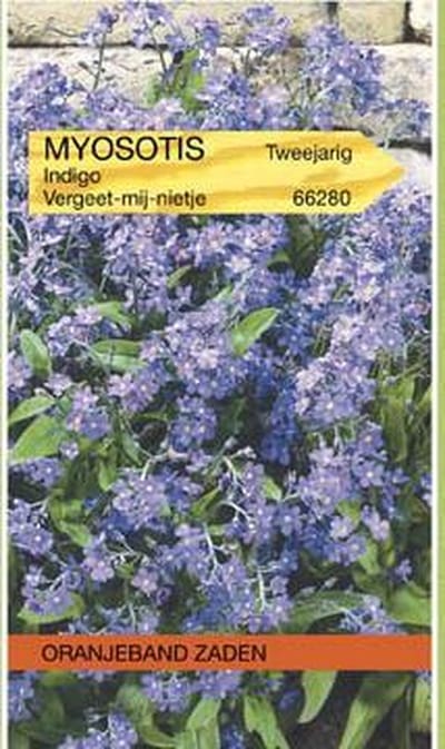 Oranjebandzaden -  Myosotis, Vergeet-mij-niet Indigo, blauw