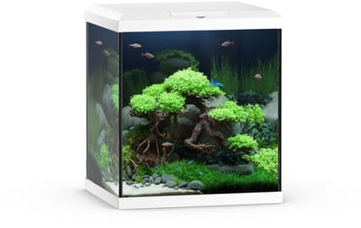 Juwel Aquarium Vio Cube 54 41x36x47 cm - Aquaria - Wit Ca. 54 L