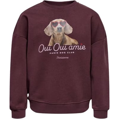 ONLY - KOGBILA L/S OVZ PRINT O-NECK SWT NOOS Dames Trui