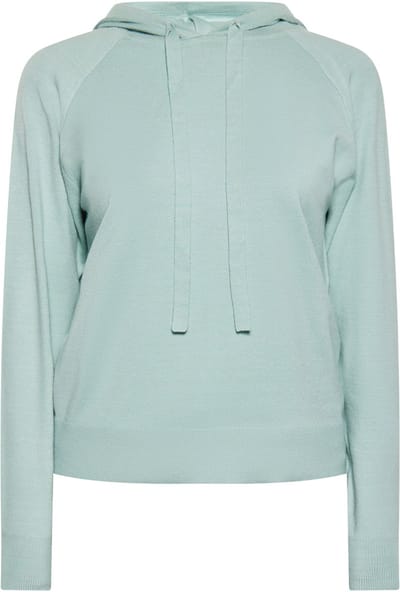 usha Hoodie