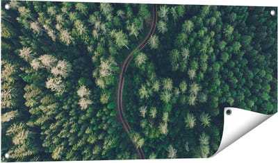 Gards Tuinposter Weg Door Bos met Bomen - Bovenaanzicht - 100x50 cm - Tuindoek - Tuindecoratie - Wanddecoratie buiten - Tuinschilderij