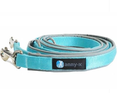 AnnyX verstelbare Hondenriem - FUN - IJsblauw grijs - Lengte 3 meter - 2,5cm breed - politielijn - Trainingslijn - Voor middelgrote tot grote (sterke) honden