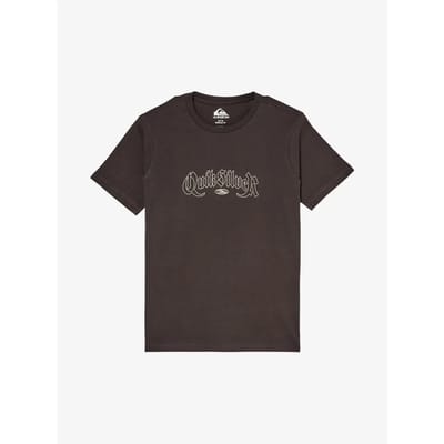 Quiksilver Dang T-shirt Met Korte Mouwen Bruin 14 Years Jongen