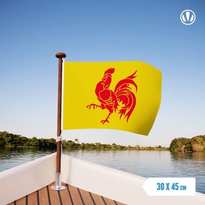 Vlag Wallonie 30x45cm