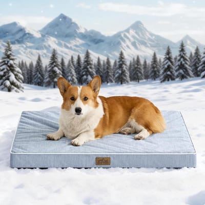 Koel Hondenbed - Hondenmat Koelmat - Hond Koel Houden - Directe Koeling Q-Max>0.4 - 91x69x7.5 cm - Lichtblauw