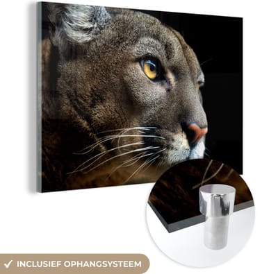 MuchoWow® Glasschilderij 60x40 cm - Schilderij acrylglas - Poema - Wilde dieren - Portret - Foto op glas - Schilderijen