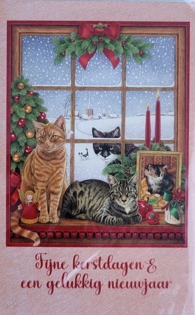 8 Dubbele Kerstkaarten met Enveloppen - Poezen voor Raam - Francien Katten