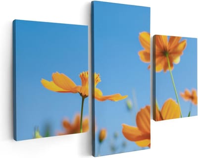 Artaza Canvas Schilderij Drieluik Oranje Cosmea Bloemen - 90x60 - Foto Op Canvas - Canvas Print