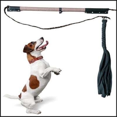 Hondenspeelgoed Flirt Pole in de kleuren taupe en donkergroen. Maat 2 - Hondenhengel - speelhengel - hondentraining - spelen en leren - trekspel - trektouw - dog training - dog game - focus training - focus speelgoed - ShukoGear by MadeByShuko