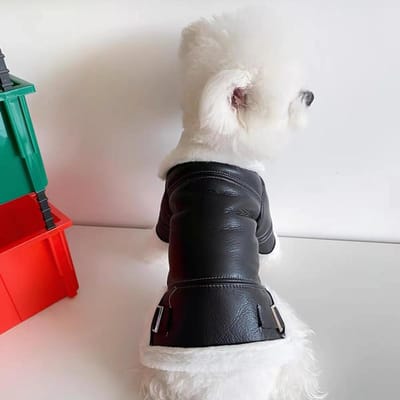 Veste de moto épaisse en peluche pour animaux de compagnie, veste en cuir, veste en coton pour petit chien, veste chaude coupe-vent pour l'automne et l'hiver XXL