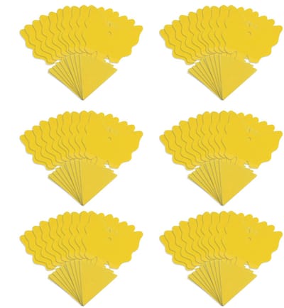 Fruitvliegjes Vanger - Rouwviegjes Vanger - Gifvrij Rouwvliegjes Bestrijden - 60 Plakstrips
