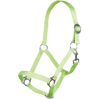 Halster voor paarden HKM Stars Economy
