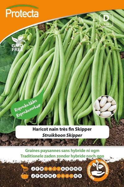 Protecta Groente zaden: Struikboon Skipper 35g
