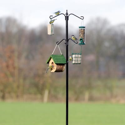 CJ Wildlife Vogelvoederstation Paal - Sunduro - Meerdere haken voor o.a. Voedersilo, Vetbolhouder of Pindasilo - Voederpaalsysteem - Zwart
