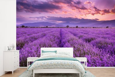Behang - Fotobehang Lavendel - Paars - Bloemen - Veld - Breedte 600 cm x hoogte 400 cm