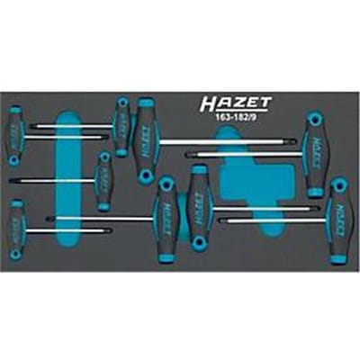 HAZET gereedschapsmodule 163-182/9, 9-delig, schroevendraaierset sterprofiel T6-T30, B 342 x D 172 mm