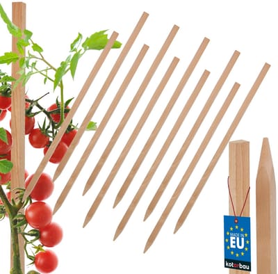 Kotarbau Serie - Houten Plantstokken - 40 CM - Set van 10 - Voor Pompoenen en Struiken
