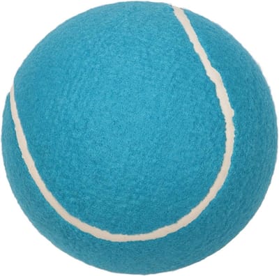 Grote Tennisballen - Oefenballen - Sport Training - Hoge Veerkracht - 20 cm Diameter - Blauw