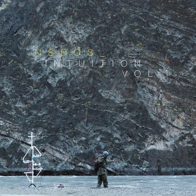NSDOS - Intuition Volume 1 (LP)