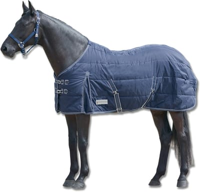 ECONOMIC Stable Rug, 200 G